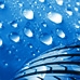 2026_blue_drops